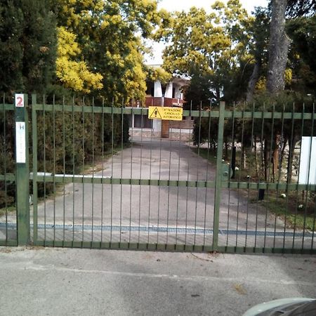 Villa Edvige'S House San Felice Circeo Exterior foto